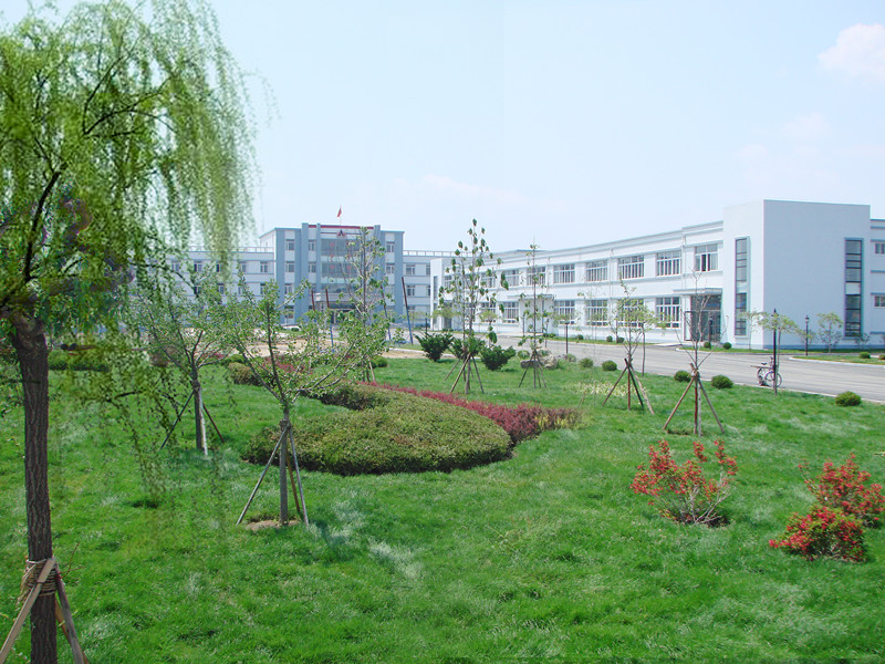 歡樂(lè )奧龍人，激昂青春夢(mèng)